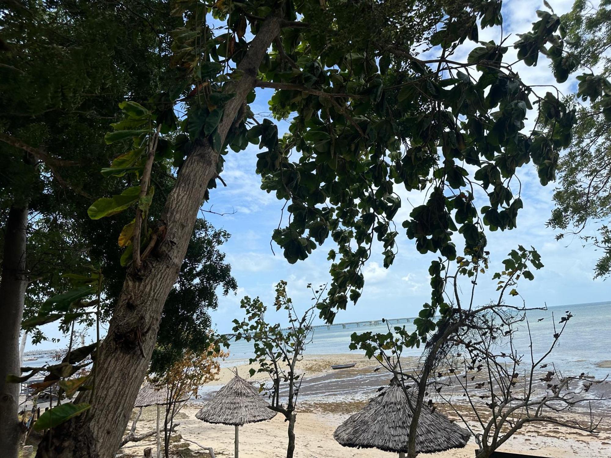 Maweni Beach Bungalows Килиндони Экстерьер фото